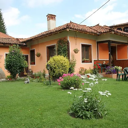 게스트하우스 Bobi 코프리브시티차