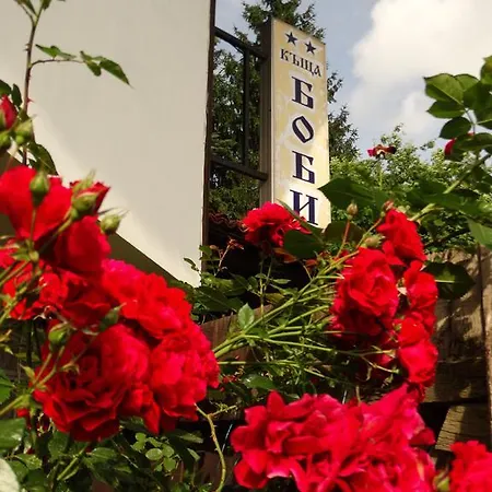 게스트하우스 Bobi 코프리브시티차