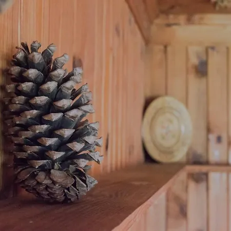 게스트하우스 Bobi 3*