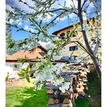 Guest house Bobi