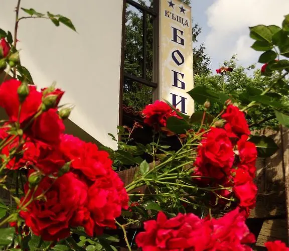 Pensjonat Bobi Kopriwsztica