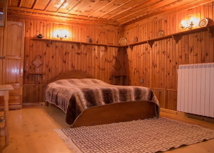 Bobi 3* Kopriwsztica