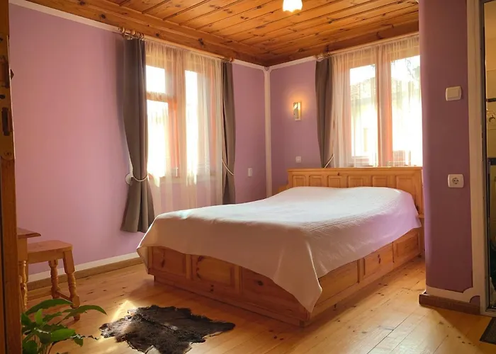 Bobi Pensjonat Kopriwsztica